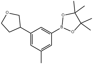 3-Methyl-5-(3-tetrahydrofuranyl)phenylboronic acid pinacol ester Struktur