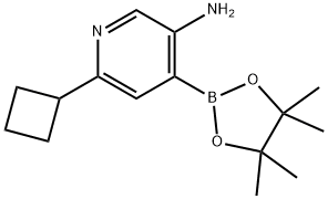 3-Amino-6-(cyclobutyl)pyridine-4-boronic acid pinacol ester Struktur