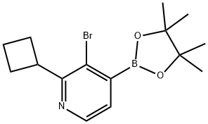 3-Bromo-2-(cyclobutyl)pyridine-4-boronic acid pinacol ester Struktur