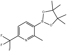 2-Methyl-6-trifluoromethylpyridine-3-boronic acid pinacol ester Struktur