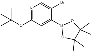 3-Bromo-6-(tert-butoxy)pyridine-4-boronic acid pinacol ester Struktur