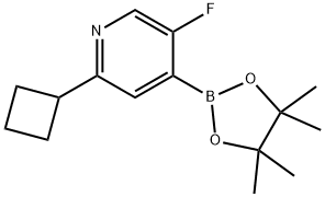 2-cyclobutyl-5-fluoro-4-(4,4,5,5-tetramethyl-1,3,2-dioxaborolan-2-yl)pyridine Struktur