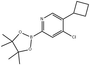 4-Chloro-5-(cyclobutyl)pyridine-2-boronic acid pinacol ester Struktur