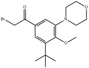 Ethanone, 2-broMo-1-[3-(1,1-diMethylethyl)-4-Methoxy-5-(4-Morpholinyl)phenyl]- Struktur