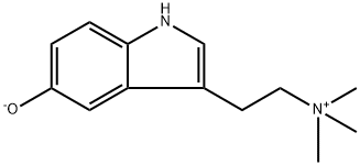 N,N,N-Trimethylserotonin Struktur