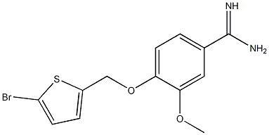 4-[(5-bromothien-2-yl)methoxy]-3-methoxybenzenecarboximidamide Struktur