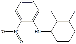 N-(2,3-dimethylcyclohexyl)-2-nitroaniline Struktur