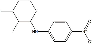 N-(2,3-dimethylcyclohexyl)-4-nitroaniline Struktur