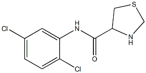 N-(2,5-dichlorophenyl)-1,3-thiazolidine-4-carboxamide Struktur