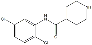 N-(2,5-dichlorophenyl)piperidine-4-carboxamide Struktur