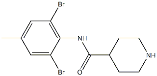 N-(2,6-dibromo-4-methylphenyl)piperidine-4-carboxamide Struktur