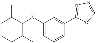 N-(2,6-dimethylcyclohexyl)-3-(1,3,4-oxadiazol-2-yl)aniline Struktur