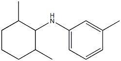 N-(2,6-dimethylcyclohexyl)-3-methylaniline Struktur