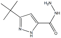 3-TERT-BUTYLPYRAZOLE-5-CARBOXYLIC ACID HYDRAZIDE Struktur