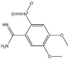 4,5-dimethoxy-2-nitrobenzamidine Struktur