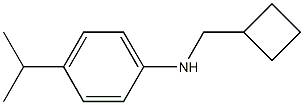 N-(cyclobutylmethyl)-4-isopropylbenzenamine Struktur