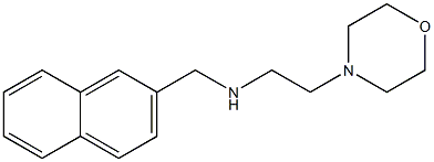 [2-(morpholin-4-yl)ethyl](naphthalen-2-ylmethyl)amine Struktur