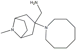 [3-(azocan-1-yl)-8-methyl-8-azabicyclo[3.2.1]octan-3-yl]methanamine Struktur