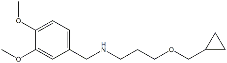 [3-(cyclopropylmethoxy)propyl][(3,4-dimethoxyphenyl)methyl]amine Struktur