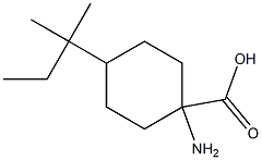 1-amino-4-(1,1-dimethylpropyl)cyclohexanecarboxylic acid Struktur