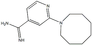 2-(azocan-1-yl)pyridine-4-carboximidamide Struktur