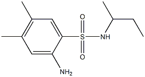 2-amino-N-(butan-2-yl)-4,5-dimethylbenzene-1-sulfonamide Struktur