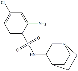 2-amino-N-{1-azabicyclo[2.2.2]octan-3-yl}-4-chlorobenzene-1-sulfonamide Struktur