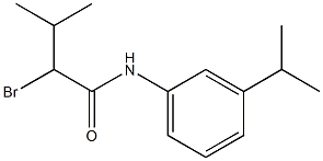 2-bromo-3-methyl-N-[3-(propan-2-yl)phenyl]butanamide Struktur