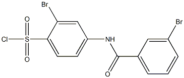 2-bromo-4-[(3-bromobenzene)amido]benzene-1-sulfonyl chloride Struktur