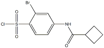 2-bromo-4-cyclobutaneamidobenzene-1-sulfonyl chloride Struktur