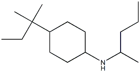 4-(2-methylbutan-2-yl)-N-(pentan-2-yl)cyclohexan-1-amine Struktur