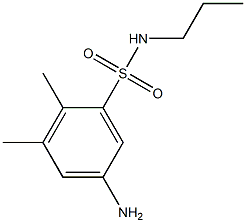 5-amino-2,3-dimethyl-N-propylbenzene-1-sulfonamide Struktur