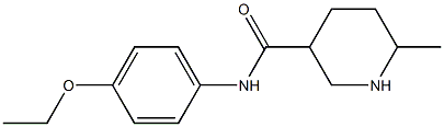 N-(4-ethoxyphenyl)-6-methylpiperidine-3-carboxamide Struktur