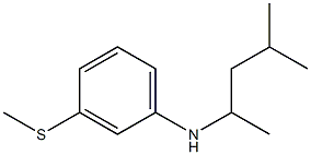 N-(4-methylpentan-2-yl)-3-(methylsulfanyl)aniline Struktur