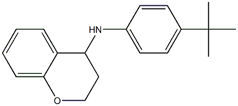 N-(4-tert-butylphenyl)-3,4-dihydro-2H-1-benzopyran-4-amine Struktur