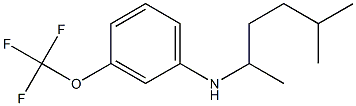 N-(5-methylhexan-2-yl)-3-(trifluoromethoxy)aniline Struktur