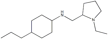 N-[(1-ethylpyrrolidin-2-yl)methyl]-4-propylcyclohexan-1-amine Struktur