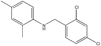 N-[(2,4-dichlorophenyl)methyl]-2,4-dimethylaniline Struktur