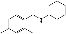 N-[(2,4-dimethylphenyl)methyl]cyclohexanamine Struktur