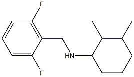 N-[(2,6-difluorophenyl)methyl]-2,3-dimethylcyclohexan-1-amine Struktur