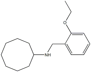 N-[(2-ethoxyphenyl)methyl]cyclooctanamine Struktur