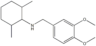 N-[(3,4-dimethoxyphenyl)methyl]-2,6-dimethylcyclohexan-1-amine Struktur