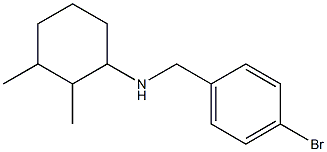 N-[(4-bromophenyl)methyl]-2,3-dimethylcyclohexan-1-amine Struktur