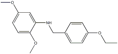 N-[(4-ethoxyphenyl)methyl]-2,5-dimethoxyaniline Struktur