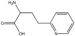 2-AMINO-4-(2-PYRIDINYL)BUTANOIC ACID Struktur