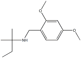 [(2,4-dimethoxyphenyl)methyl](2-methylbutan-2-yl)amine Struktur