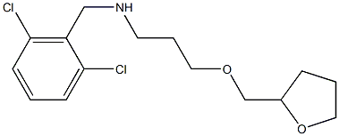 [(2,6-dichlorophenyl)methyl][3-(oxolan-2-ylmethoxy)propyl]amine Struktur