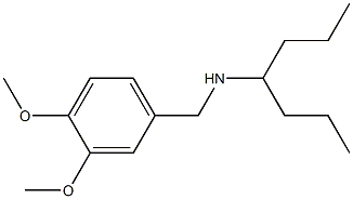 [(3,4-dimethoxyphenyl)methyl](heptan-4-yl)amine Struktur