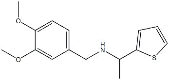 [(3,4-dimethoxyphenyl)methyl][1-(thiophen-2-yl)ethyl]amine Struktur