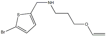 [(5-bromothiophen-2-yl)methyl][3-(ethenyloxy)propyl]amine Struktur